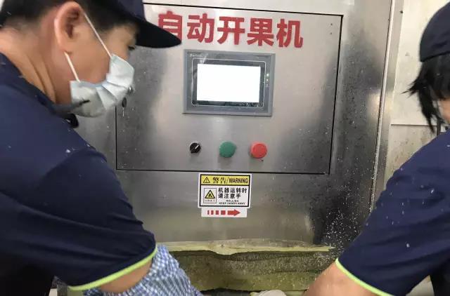 Great Tea Is Never Easy · In Search of Fine Xinhui Citrus