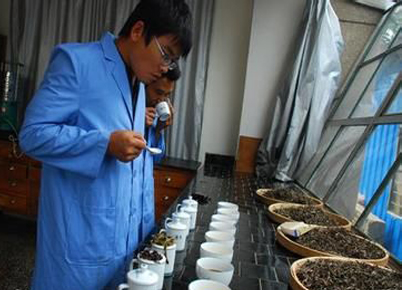 Pu-erh Blending Is Not Random Mixing