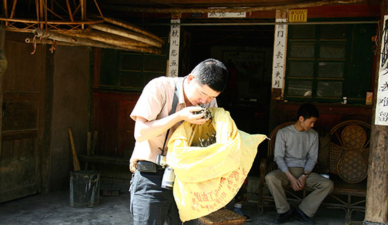 Strong Progress for Yunnan’s Tea Industry in 2014