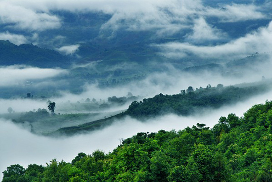 Lincang Named a Leading Chinese Tea Culture City