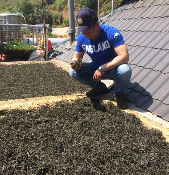 A team member checking tea quality