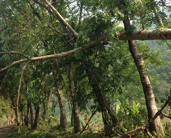 Road to Mansong after severe weather