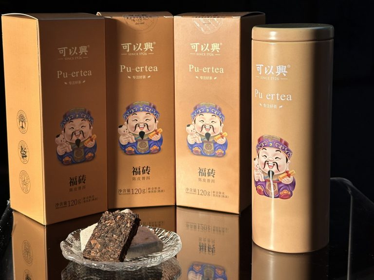 Fortune · Chenpi Ripe Pu-erh Mini Bricks